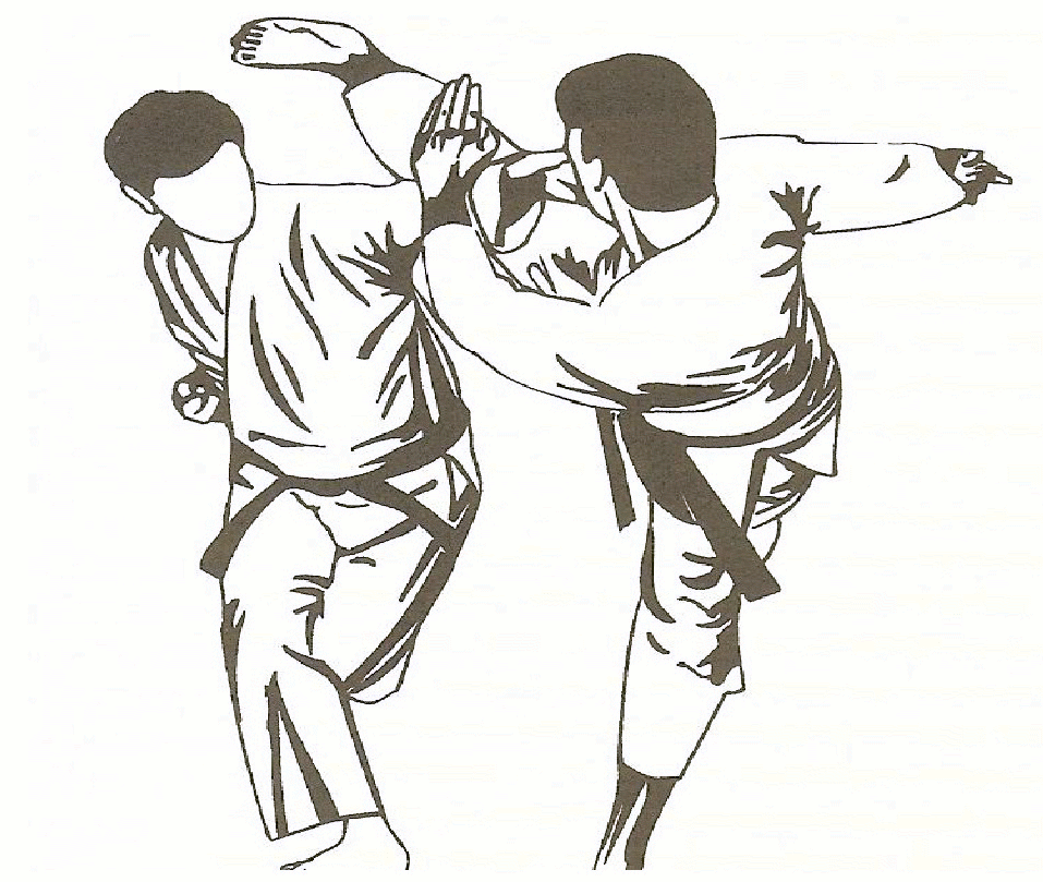نتیجه تصویری برای کاراته